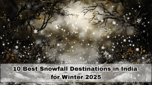 CBSE 2026 Boards: Last 60-Day Strategy Toppers Recommend