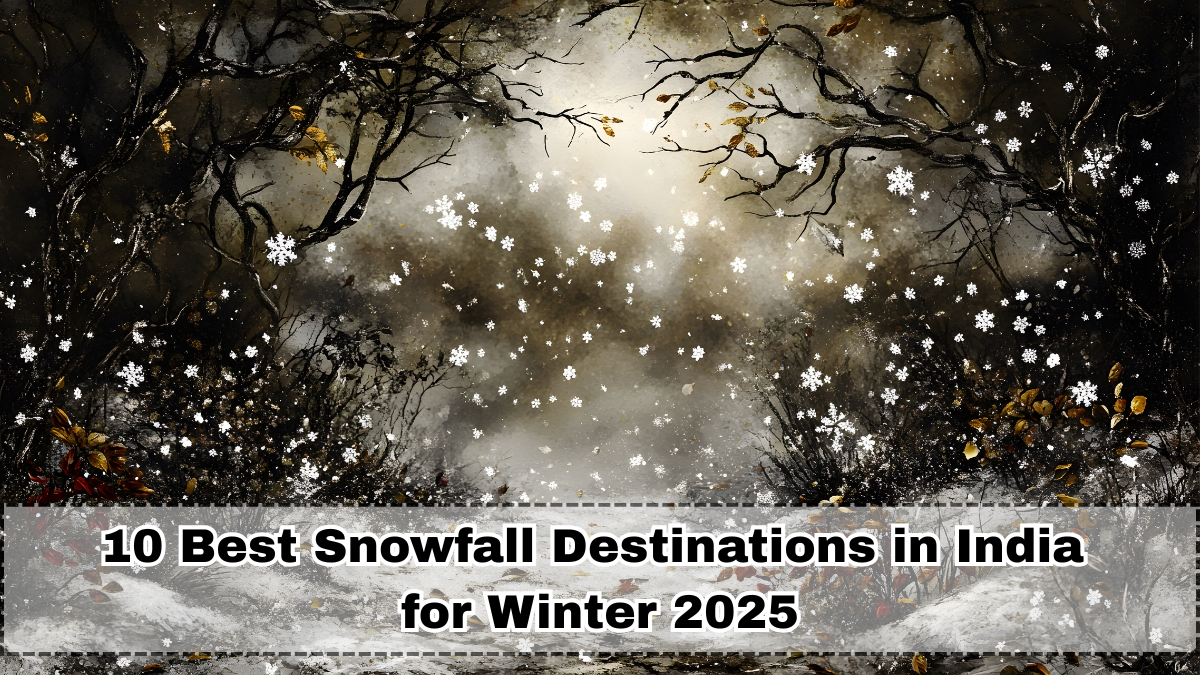 CBSE 2026 Boards: Last 60-Day Strategy Toppers Recommend