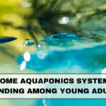 Why Home Aquaponics Systems Are Trending Among Young Adults in 2025