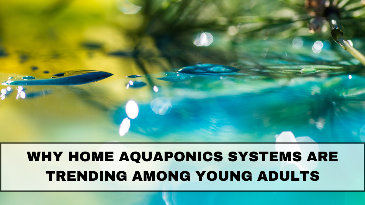 Why Home Aquaponics Systems Are Trending Among Young Adults in 2025