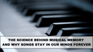The Science Behind Musical Memory and Why Songs Stay in Our Minds Forever