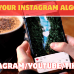 How to Reset Your Algorithm: Make Instagram/YouTube/TikTok Show Better Content