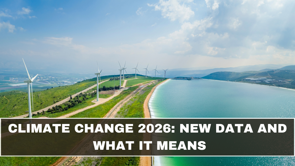 Netflix series, trending shows 2026, streaming charts, binge-worthy TV, global hits, TV rankings