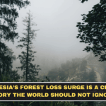 Indonesia’s Forest Loss Surge Is a Climate Story the World Should Not Ignore