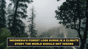 Indonesia’s Forest Loss Surge Is a Climate Story the World Should Not Ignore