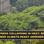 Mumbai Trees Collapsing in Heat: Why Cities Need Climate-Ready Greenery