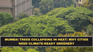 Mumbai Trees Collapsing in Heat: Why Cities Need Climate-Ready Greenery